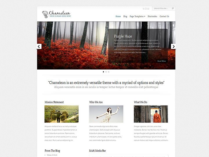 Un sito web camaleontico per cambiare pelle
