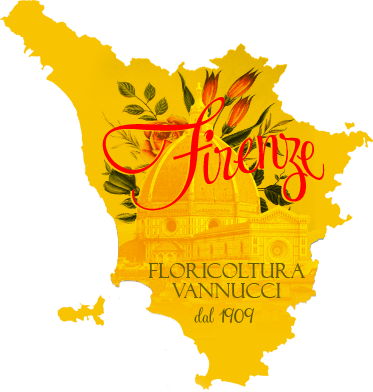 Marchio storico in chiave moderna