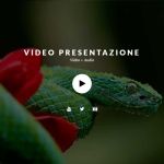 Spettacolare Video 4K fullscreen (con audio) per l'hero header