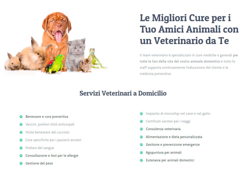 presentazione dei servizi offerti in modo accattivante