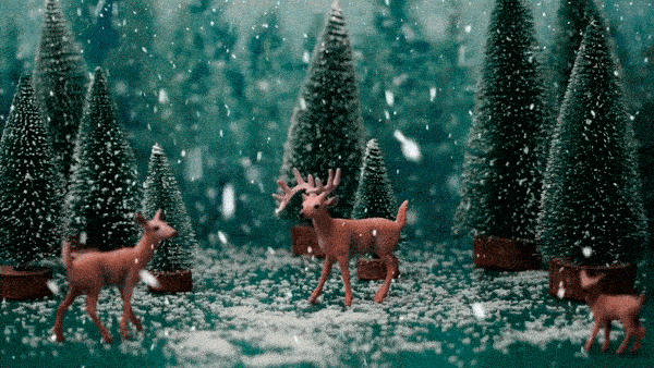 Chi sta arrivando a Natale?