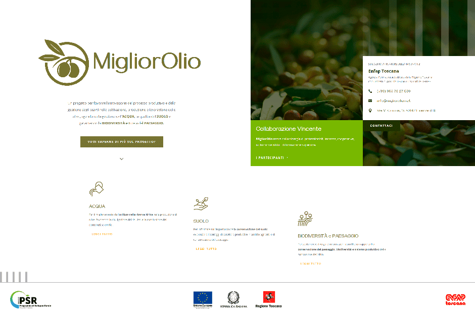 Il progetto MigliorOlio